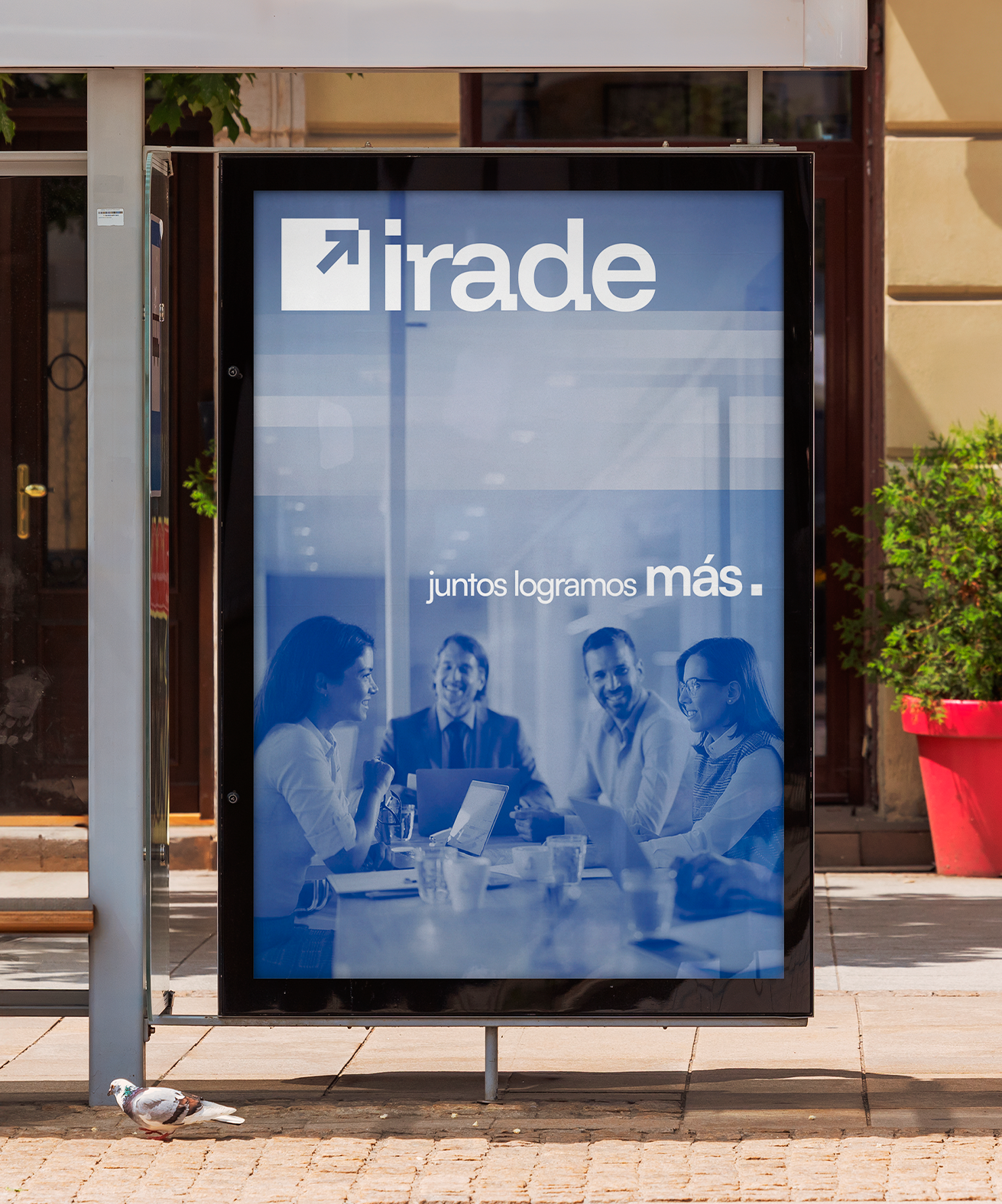 iradeportafolioext